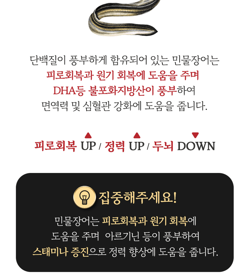 스피드번님의 장터 판매 상품 [통영 자포니카 민물장어] 첨부 사진