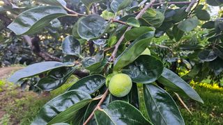 들깨13192님의 자유주제 · 자유게시판 작성글 사진