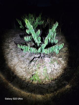 배동연님의 농사, 무엇이든 물어보세요! · 참여글 작성글 사진