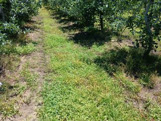 알 수 없음님의 자유주제 · 자유게시판 작성글 사진