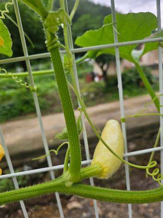 최연재님의 자유주제 · 자유게시판 작성글 사진