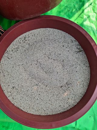 구봉갑산님의 자유주제 · 자유게시판 작성글 사진