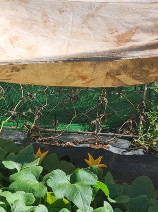 이남신님의 자유주제 · 자유게시판 작성글 사진