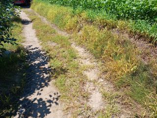 알 수 없음님의 자유주제 · 자유게시판 작성글 사진