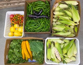 누보농장님의 자유주제 · 자유게시판 작성글 사진