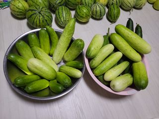 원빈님의 자유주제 · 자유게시판 작성글 사진