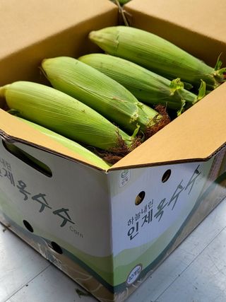 인제 돈키호테님의 작성글 사진