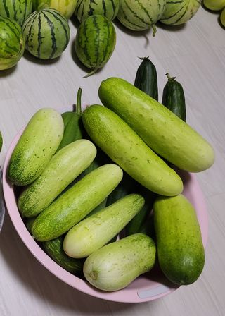 원빈님의 자유주제 · 자유게시판 작성글 사진