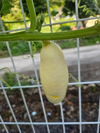 최연재님의 자유주제 · 자유게시판 작성글 사진