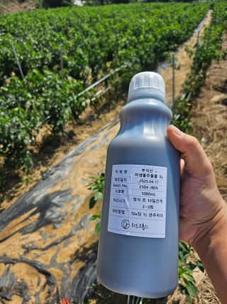 대산농사대장님의 고추 · 비료•농약 작성글 사진