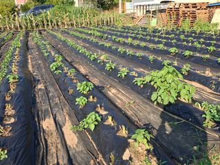 구봉갑산님의 자유주제 · 자유게시판 작성글 사진