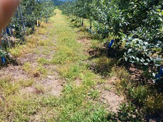 알 수 없음님의 자유주제 · 자유게시판 작성글 사진