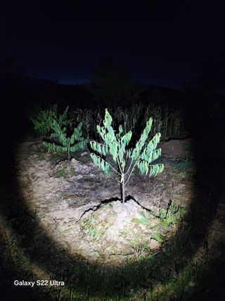 배동연님의 농사, 무엇이든 물어보세요! · 참여글 작성글 사진