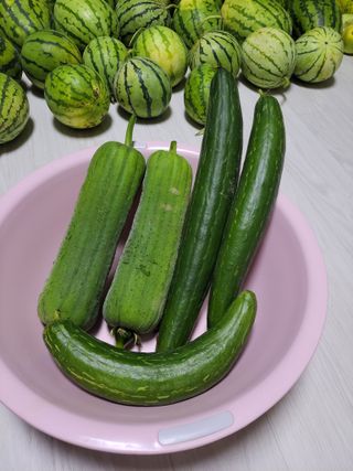 원빈님의 자유주제 · 자유게시판 작성글 사진