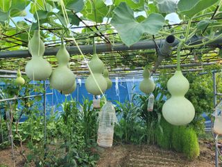 아리랑님의 자유주제 · 자유게시판 작성글 사진