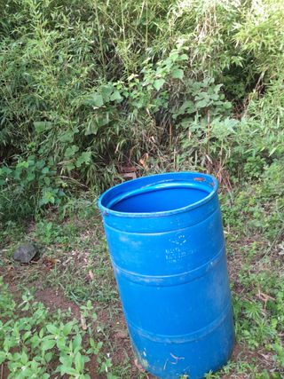 김민수산에서농사중님의 자유주제 · 자유게시판 작성글 사진