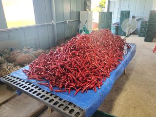 서툰 농부짱님의 자유주제 · 자유게시판 작성글 사진