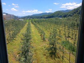 알 수 없음님의 자유주제 · 자유게시판 작성글 사진