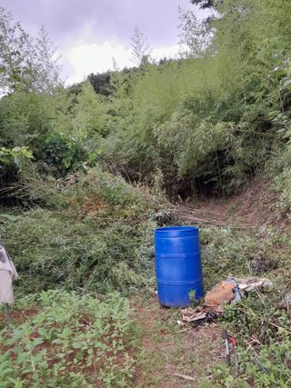 김민수산에서농사중님의 자유주제 · 자유게시판 작성글 사진