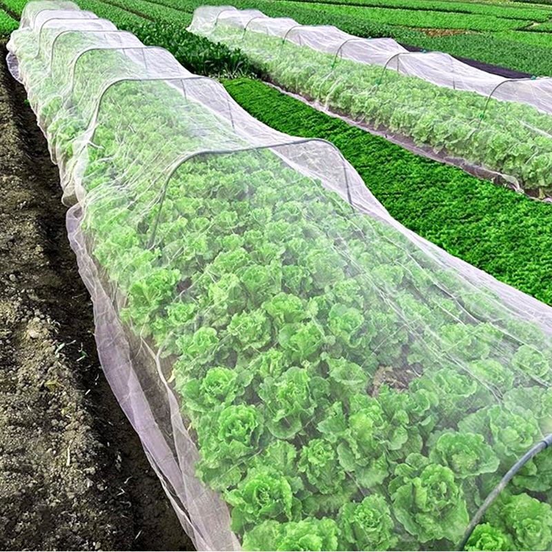 장터 상품 [팜포켓 해충방지망 한랭사 한냉사 농작물 배추 보호망 10M] 썸네일