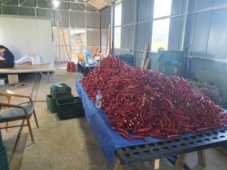 서툰 농부짱님의 자유주제 · 자유게시판 작성글 사진