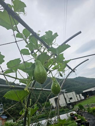 최연재님의 자유주제 · 자유게시판 작성글 사진