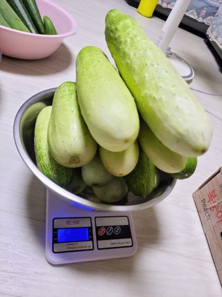 원빈님의 자유주제 · 자유게시판 작성글 사진