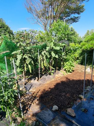 이남신님의 자유주제 · 자유게시판 작성글 사진