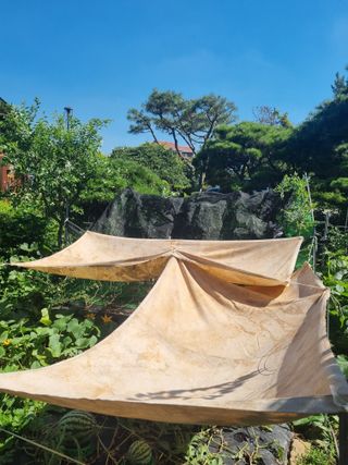 이남신님의 자유주제 · 자유게시판 작성글 사진