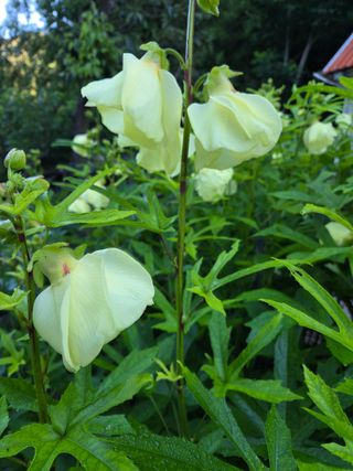 knlee님의 자유주제 · 자유게시판 작성글 사진