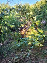 팜모닝 자유주제·자유게시판 게시글 이미지