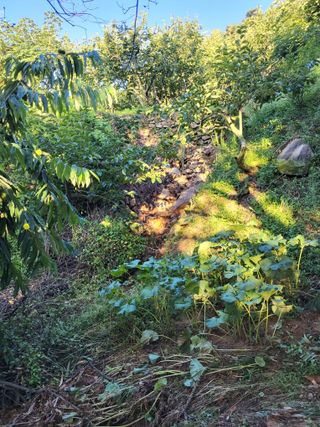 정수산님의 자유주제 · 자유게시판 작성글 사진