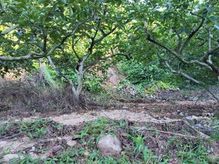 정수산님의 자유주제 · 자유게시판 작성글 사진