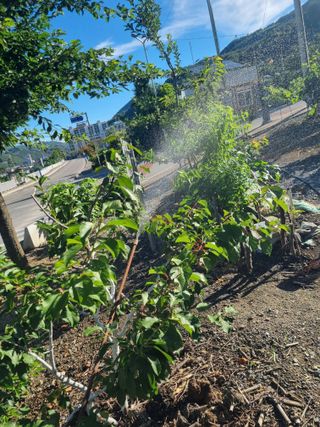 김용대님의 자유주제 · 자유게시판 작성글 사진