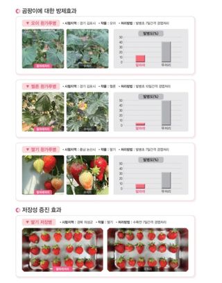 대산농사대장님의 작성글 사진