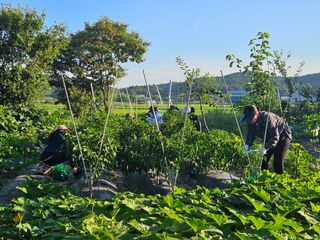 보리수치유농장님의 기타작물 · 영농일지 작성글 사진
