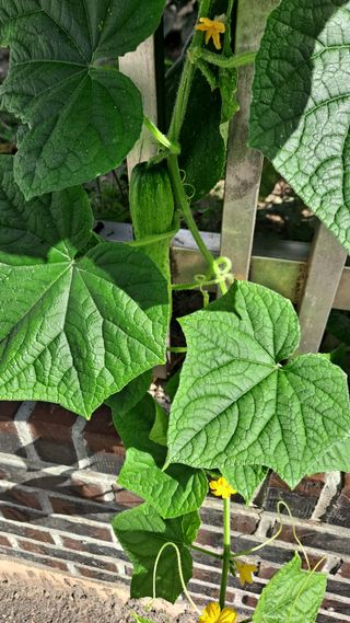 MSG0074님의 자유주제 · 자유게시판 작성글 사진