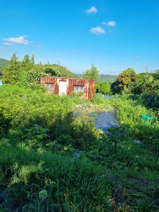 이남신님의 자유주제 · 자유게시판 작성글 사진