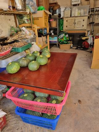 이남신님의 자유주제 · 자유게시판 작성글 사진