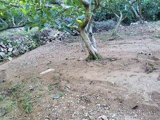 정수산님의 자유주제 · 자유게시판 작성글 사진