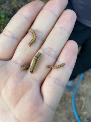호동댁님의 자유주제 · 자유게시판 작성글 사진