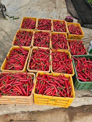 김문철님의 자유주제 · 자유게시판 작성글 사진