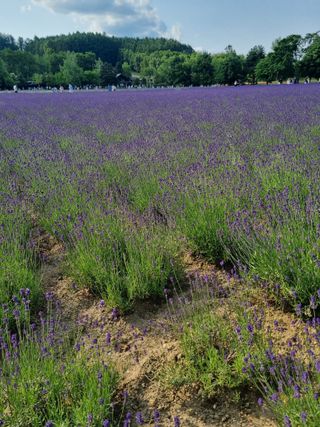 감20280님의 자유주제 · 자유게시판 작성글 사진
