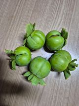 팜모닝 자유주제·자유게시판 게시글 이미지