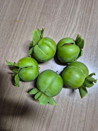 안태수님의 자유주제 · 자유게시판 작성글 사진