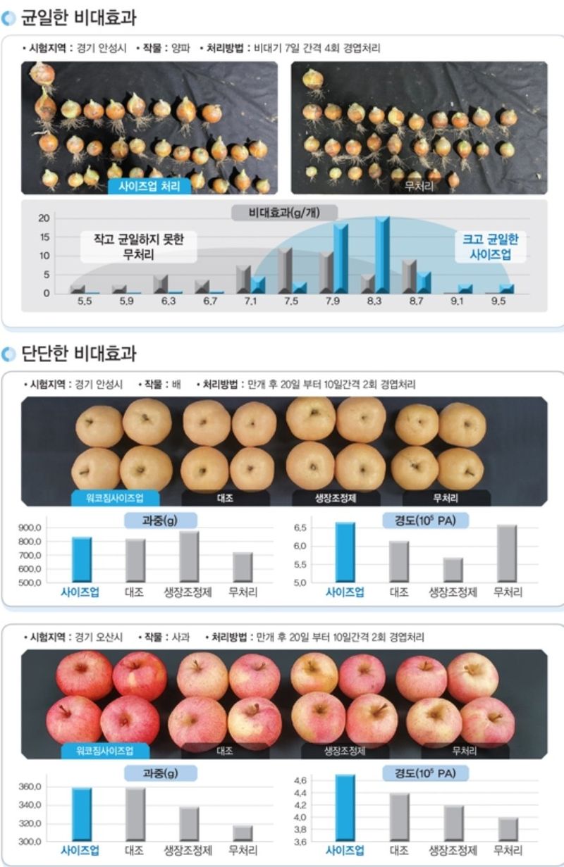 대산농사대장님의 장터 판매 상품 [위코짐 사이즈업 500ml작물 사이즈 커지다] 첨부 사진