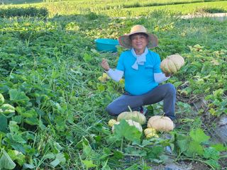 보리수치유농장님의 기타작물 · 영농일지 작성글 사진