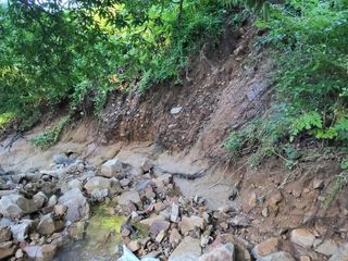 정수산님의 자유주제 · 자유게시판 작성글 사진