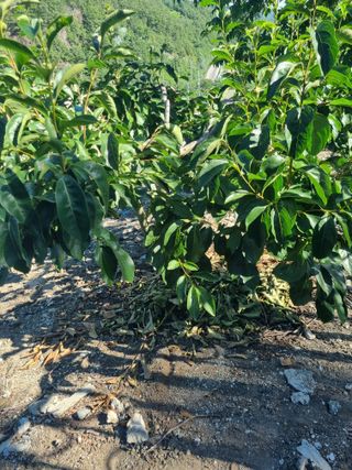 김용대님의 자유주제 · 자유게시판 작성글 사진