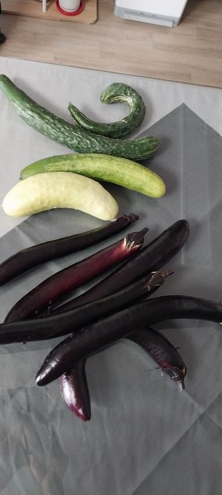 이일철 (조이산골)님의 자유주제 · 자유게시판 작성글 사진